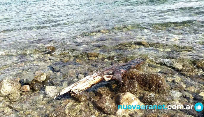 La Islita -  Playa - San Martín de los Andes