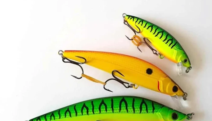 La Mojarra -    Articulos De Camping Y Pesca Del Propietario - Monte Caseros