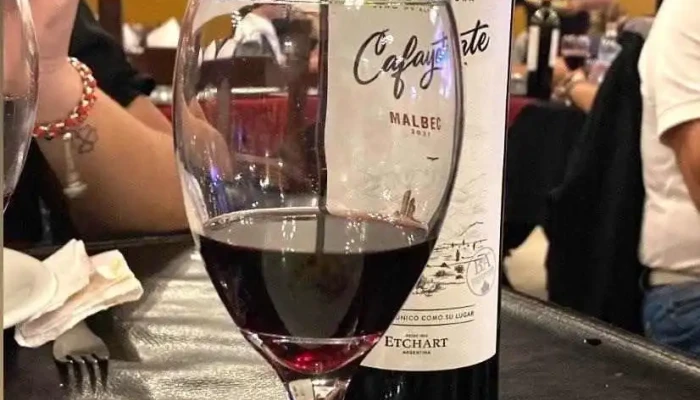La Nueva Mega Pena La Panaderia Del Chuna Vino - Salta