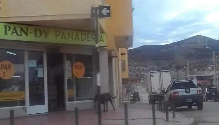 La Panaderia - Comodoro Rivadavia