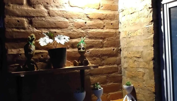 La Posada Del Parana -  Exterior - Empedrado