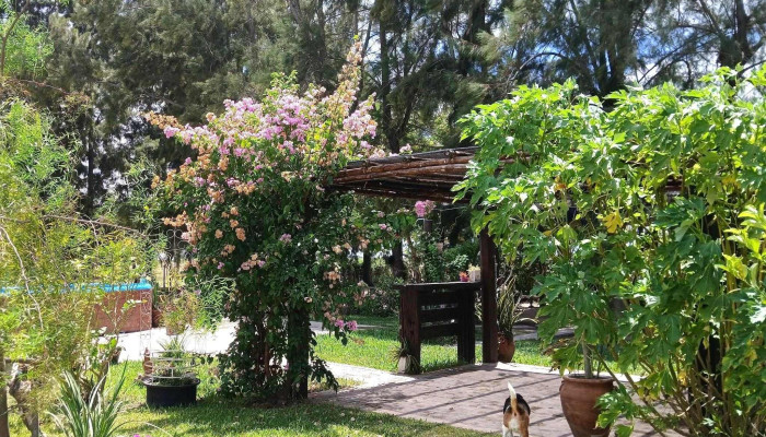 La Posada Del Rayo -  Videos - Villa Ocampo