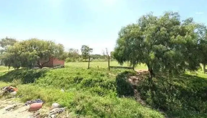 La Roti Del Feis -  Instagramdeg - Cañada de Gomez