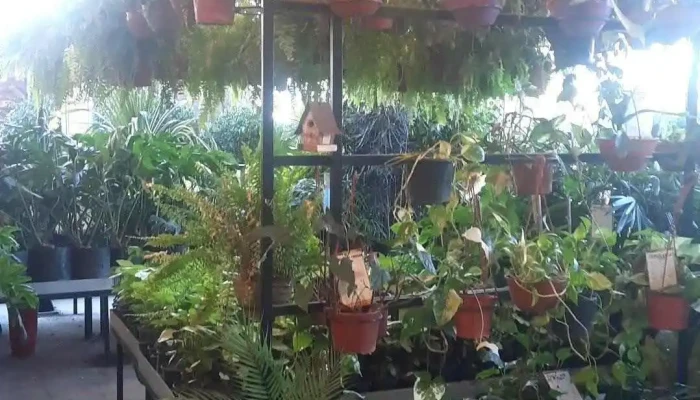 Las Acacias Nature Shop -  Interior - Mendiolaza