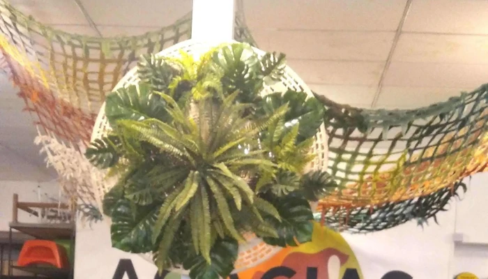 Las Acacias Nature Shop -  Promocion - Mendiolaza