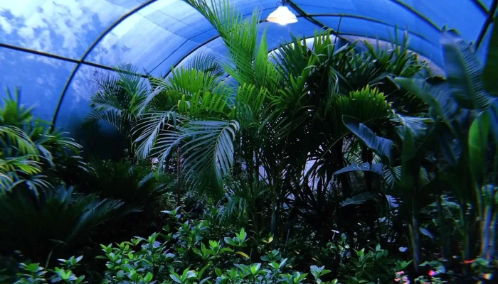Las Acacias Nature Shop -  Videos - Mendiolaza