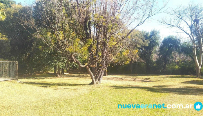 Las Magnolias -  De Los Visitantes - Merlo