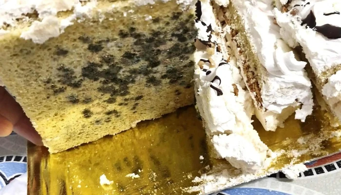 Las Palmeras Panaderia Y Confiteria Direccion - Mendoza