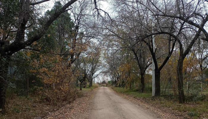 Las Vertientes De La Granja -  Instagram - La Granja