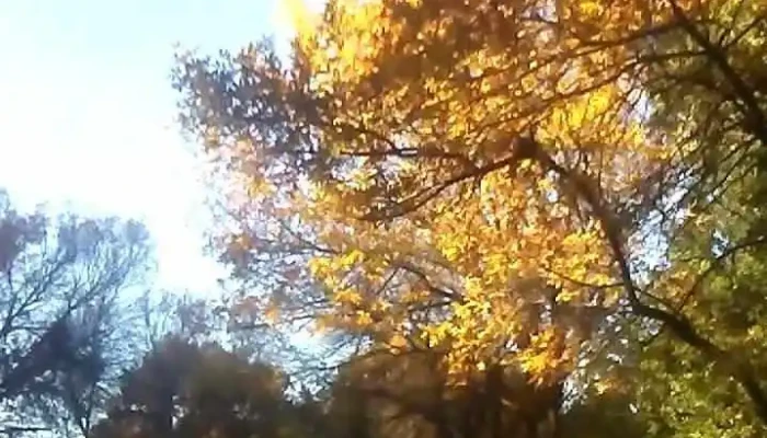 Las Vertientes De La Granja -  Videos - La Granja