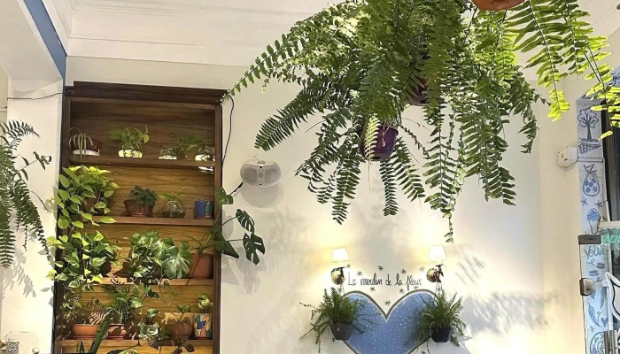 Le Moulin de la Fleur - Cdad. Autónoma De Buenos Aires