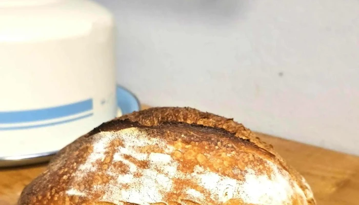 Logico El Origen Del Pan Como Llegar - San Juan