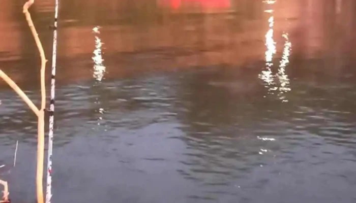 Loreto -  Videos - Santiago del Estero