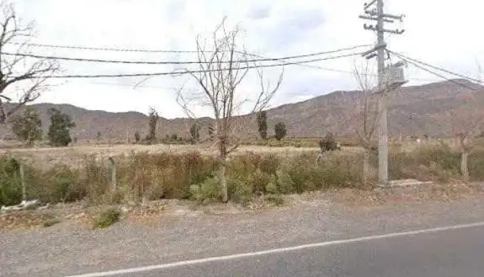 Los Sauces Casas De Campo -  Opinionesdeg - San Juan