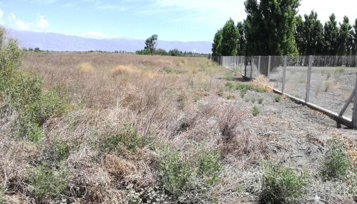 Lote En Venta -  Precios - Rawson