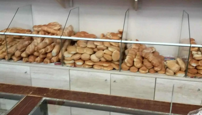 Margus -    Panaderia Vitrina - Cipolletti