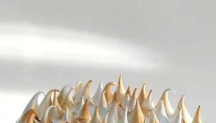 Maria Belen Ribles Pasteleria Tarta De Limon Con Merengue - Fray Luis Beltrán