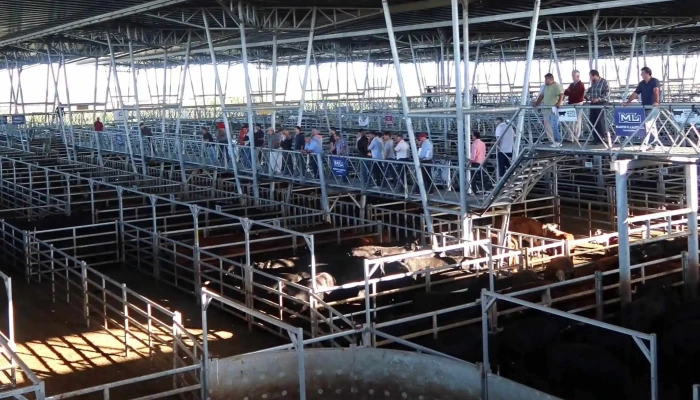 Mercado Agro Ganadero - Cañuelas