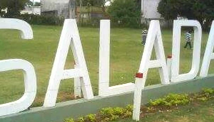 Mi Saladas -  Fotos - Saladas