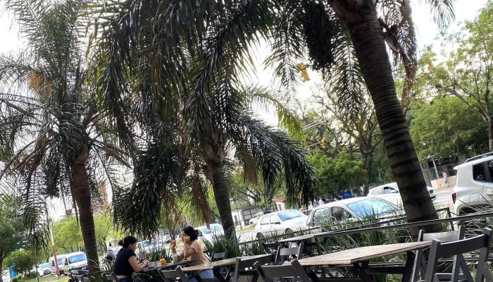 Mirasoles -  Ambiente - Resistencia