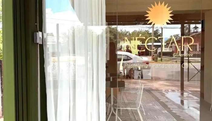Nectar Gluten Free Del Propietario - San Isidro
