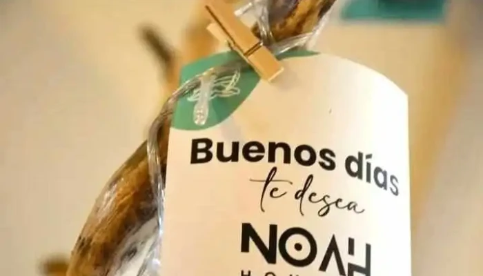 Noah Housing -  Comida Y Bebida - Santo Tomé