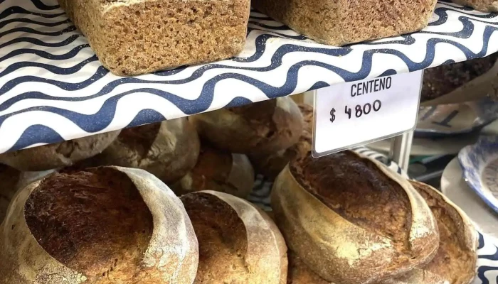 Ozut Panaderia Artesanal -  Masa Madre - Trevelin