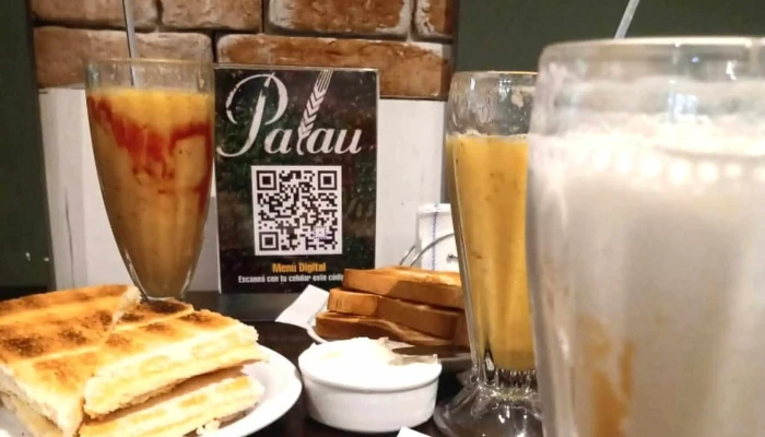 Palau Plaza -  Ubicacion - Santiago del Estero