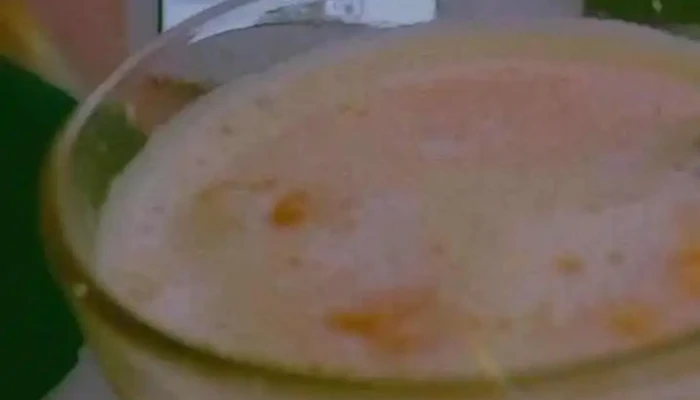 Pan -  Crem Videos - Gral. José de San Martín