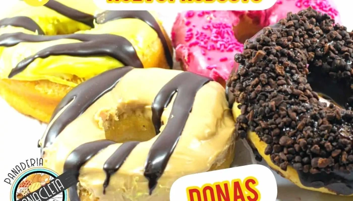 Panacleta Panaderia Y Pasteleria Dona - Córdoba