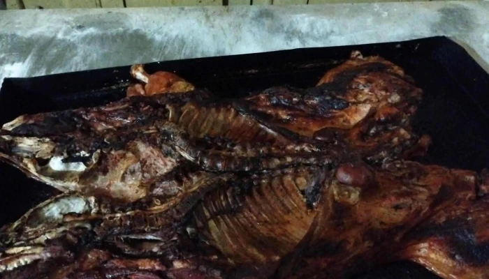 Panaderia Belen Como Llegar - Tortuga