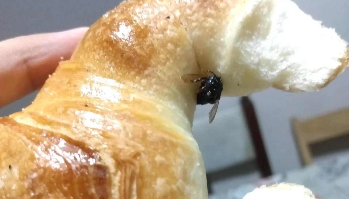 Panaderia "Belen" - Resistencia