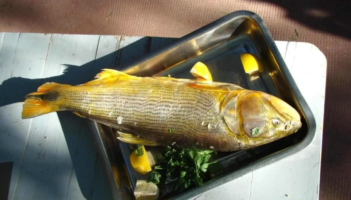 Panaderia Bet Lejem Pescado - Maipú