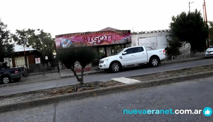 Panaderia Bigotes Videos - Pico Truncado