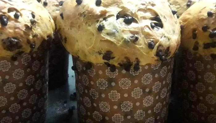 Panaderia Boneo -  Panetone - Gwp