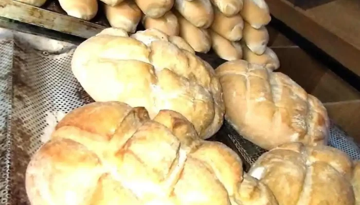 Panaderia Buen Dia Js Instagram - Comodoro Rivadavia