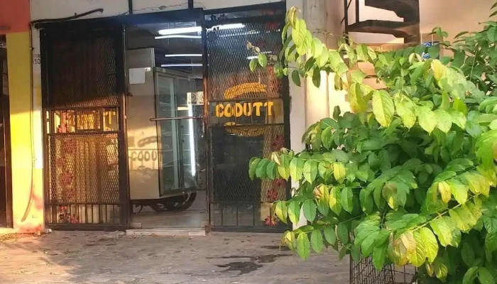 Panaderia Codutti Direccion - Resistencia