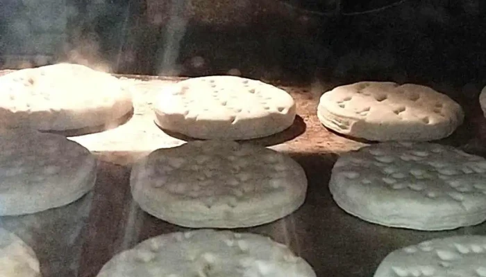 Panaderia Dos Semillas Videos - Córdoba
