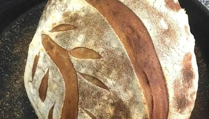 Panaderia Graciela -  Del Propietario - Cipolletti