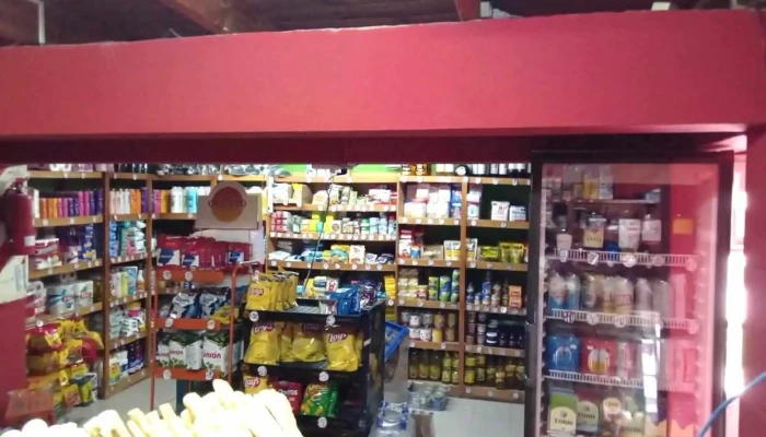 Panadería Jocelyn - Gdor. Gregores