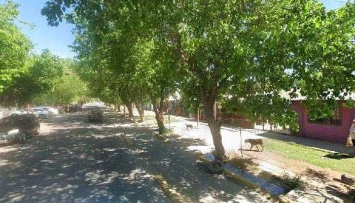 Panaderia La Nueva Belen -  Cerca De Mideg - Las Heras