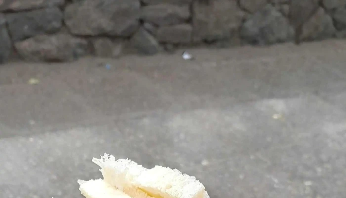 Panaderia La Nueva Italia Descuentos - Aej