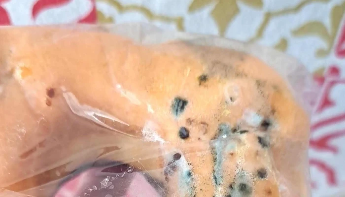 Panaderia La Nueva Italia Telefono - Aej