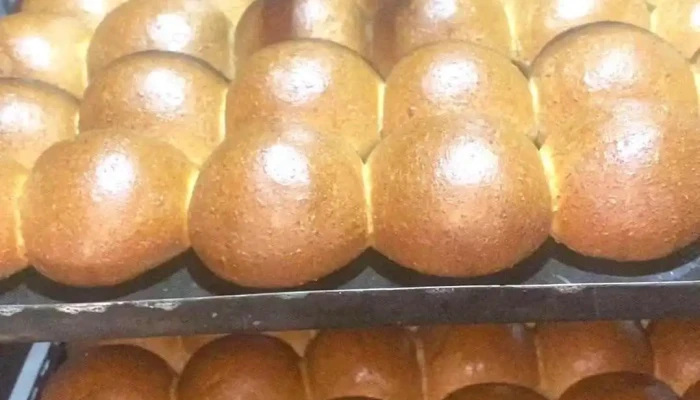 Panaderia La Tradicional Videos - Santiago del Estero