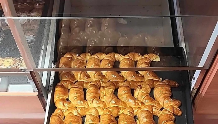 Panaderia Los Olmos -  Telefono - Trelew