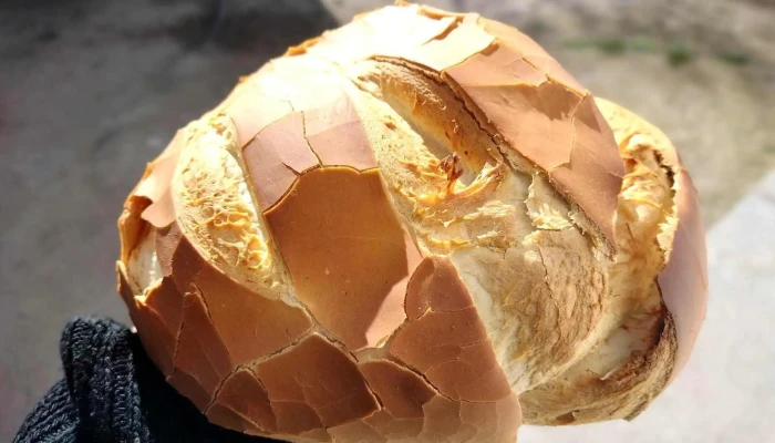 Panaderia Nievas -  Instagram - Nono