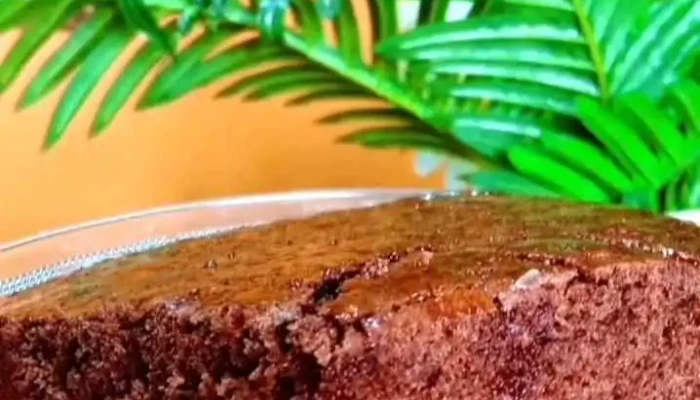Panaderia Pa Nostre -  Videos - Leones