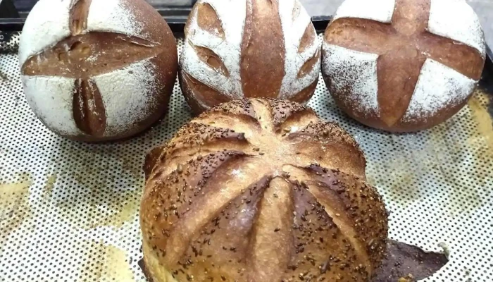 Panadería Palau - Fábrica - Santiago Del Estero