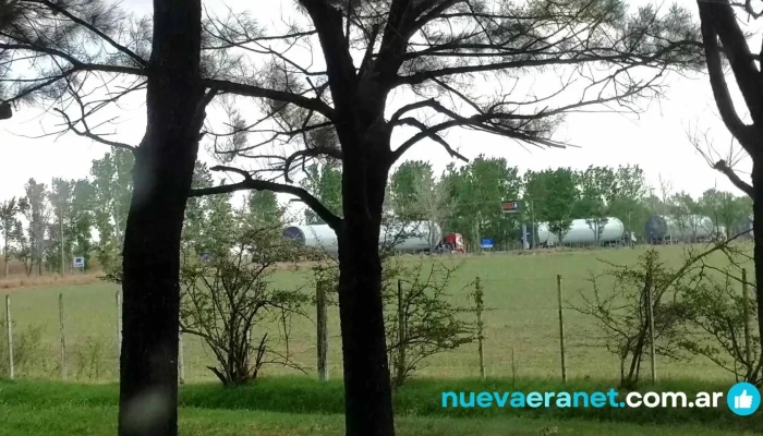 Panaderia Paloma Videos - Vicuña Mackenna