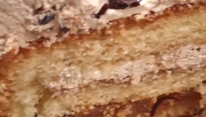 Panaderia Pugliese Suc Padre Lozano Videos - Córdoba